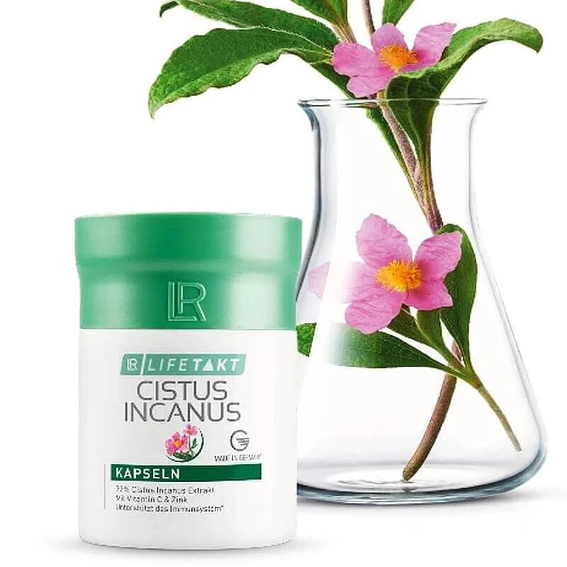 CISTUS INCANUS CAPSULES